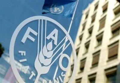  قیمت جهانی غذا در یک ماهه جنگ آمریکا علیه ایران چند درصد رشد کرد؟