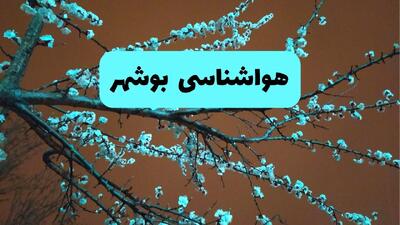  پیش بینی وضعیت آب و هوا بوشهر فردا شنبه ۱۵ فروردین ماه ۱۴۰۵ + آب و هوای فردا بوشهر + هواشناسی بوشهر ۲۴ ساعت آینده