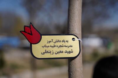  روز طبیعت در اردبیل؛ ۱۶۹ درخت، ۱۶۹ خاطره