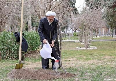  محسنی اژه‌ای، یک اصله نهال غرس کرد - تسنیم