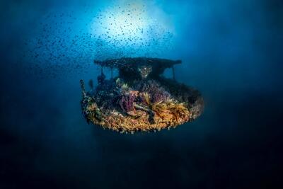  کشف عمیق ترین کشتی غرق شده در آب های فرانسه