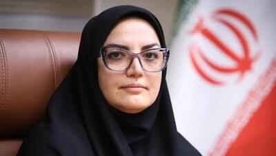  آسیب جدی به ۵۵ کتابخانه عمومی در پی حملات اخیر / تخریب ۱۰۰ درصدی دو کتابخانه شاخص در زنجان و ایلام