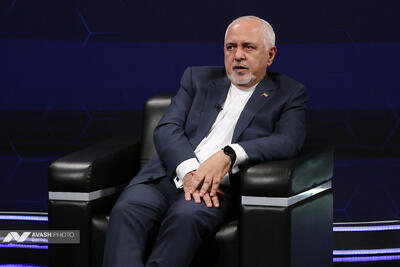  آتش‌زدن تصویرم را هم نشانه دغدغه‌مندی برای ایران می‌دانم