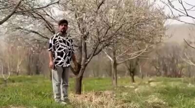  مژدگانی 10 میلیاردی برای یابنده خلبان آمریکایی