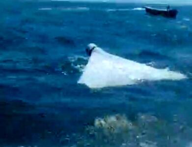  تصویری از انهدام پهپاد لوکاس آمریکایی در خلیج فارس