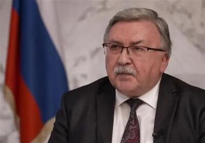  اولیانوف: حمله به تاسیسات بوشهر را افراد روانی انجام دادند