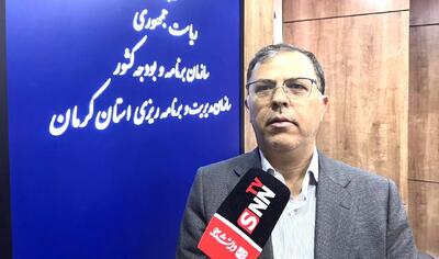  حقوق دولتی معادن در کرمان ١٢ همت است