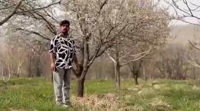  مژدگانی 10 میلیاردی برای یابنده خلبان آمریکایی