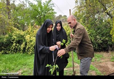  غرس 73 نهال به یاد شهدای مردمی جنگ رمضان در شهرستان‌های استان تهران - تسنیم