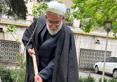  رئیس دیوان عالی یک اصله نهال مثمر در دادگستری کاشت - تسنیم