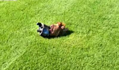  ترکش موشک در چمن کمپ تیم‌ملی ایران