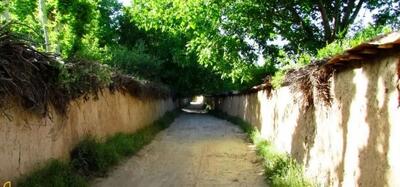  هشدار به باغداران شیراز درباره خطر آتش‌سوزی و ضرورت علف‌زنی