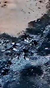  بقایای تکه تکه شده هواگردهای آمریکایی + فیلم