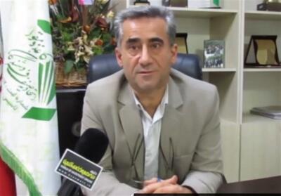  کمبودی بازار کاغذ را تهدید نمی‌کند - تسنیم