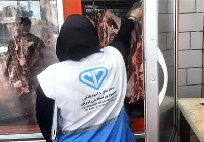  کشف و معدوم‌سازی بیش از 26 هزار کیلو فرآورده غیربهداشتی در استان تهران - تسنیم