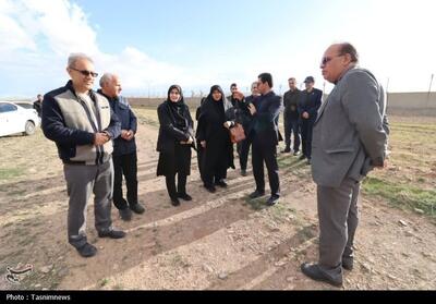  کلنگ‌زنی نیروگاه خورشیدی 15 مگاواتی در سلطانیه - تسنیم