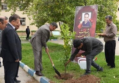  کاشت نهال یادبود شهید محمدباقر محمدی - تسنیم
