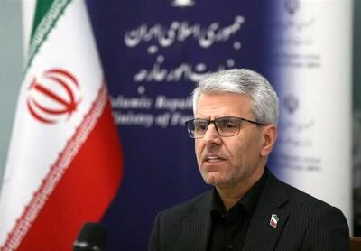  سخنگوی وزارت خارجه به عملیات نجات خلبان آمریکایی مشکوک شد