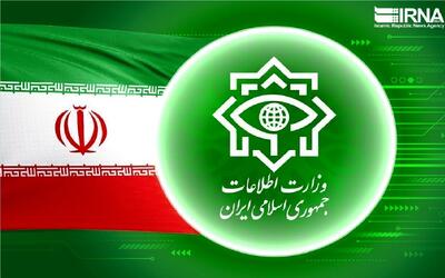  بیانیه وزارت اطلاعات در پی شهادت سردار سید مجید خادمی