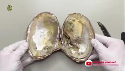  حسن عباسی: ایران بعد از این جنگ یک ابرقدرت خواهد بود + فیلم