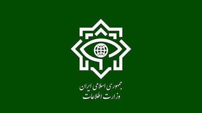  شناسایی و بازداشت ۱۷ مزدور دشمن آمریکایی - صهیونی