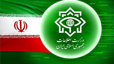  بیانیه وزارت اطلاعات در پی شهادت سردار سید مجید خادمی