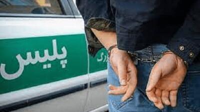  ۳ نفر از عناصر اصلی و فعال این شبکه‌ها دستگیر شده و ۷ دستگاه استارلینک نیز کشف، ضبط شد