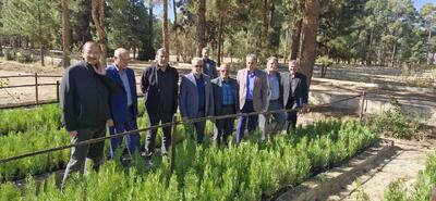  یک‌میلیارد مترمکعب رواناب، رهاورد طرح‌های آبخیزداری برای تقویت سفره‌های آب‌ زیرزمینی