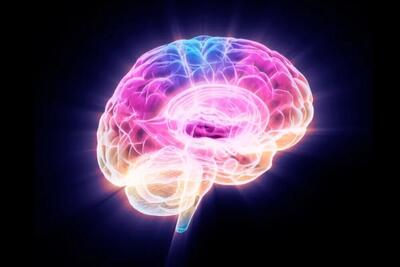  پروتئینی که مغز را پیر می‌کند!