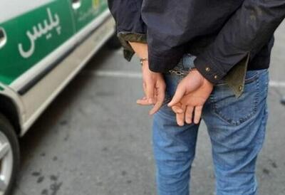  دستگیری عامل نفوذ و انتقال اطلاعات به بیگانگان