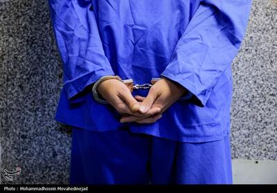  بازداشت زن عامل همکاری با دشمن آمریکایی ـ صهیونیستی در سمنان - تسنیم