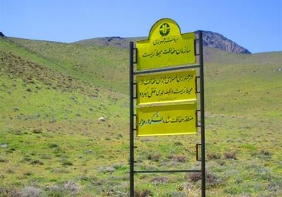  منطقه حفاظت شده لشگردر؛ نگینی زیبا در دل طبیعت ملایر - تسنیم
