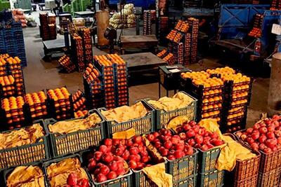  کمبودی در عرضه میوه و صیفی نداریم