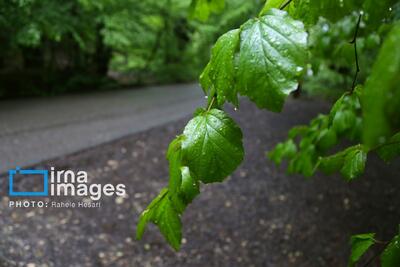  آخرین وضعیت از بارش باران و برف در کشور