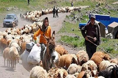  آغاز کوچ بهاره عشایر کرمانشاه