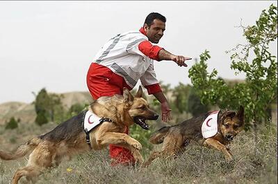  تصاویری از درمان «لئو»، سگ‌ زنده‌یابِ هلال‌احمر