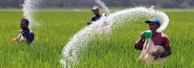  شوک پنهان در زنجیره غذا