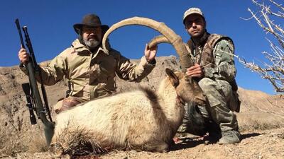  دولت ۴۰۰ هزار هکتار از اراضی ملی را پیشکش شکارفروشان کرد