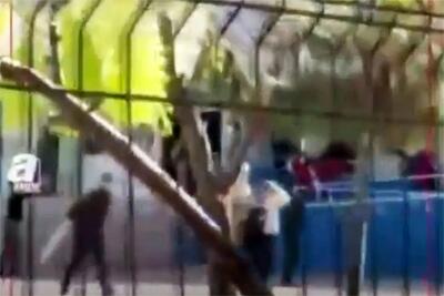  تیراندازی با تفنگ ساچمه‌ای در یک دبیرستان