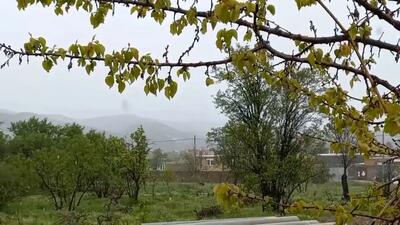  بارش برف بهاری در خراسان شمالی+ فیلم