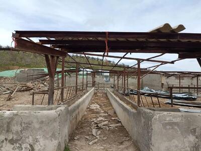  ۲ هزار میلیارد ریال خسارت به کشاورزی کنگاور در جنگ اخیر