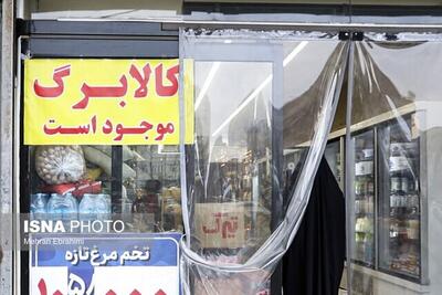  پرداخت کالابرگ در سال جاری ادامه دارد