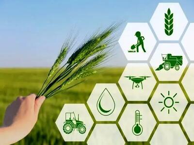  اعلام ضریب امنیت غذایی در ایران | چقدر از مواد غذایی مورد نیاز در ایران تولید می‌شود؟
