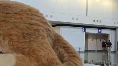  ساخت گربه غول پیکر در فرودگاه هنگ کنگ