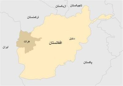  امضای 14 تفاهم‌نامه تجاری میان افغانستان و ازبکستان در هرات - تسنیم