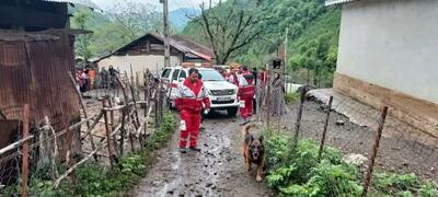  مرد مفقودشده در جنگل سیاه‌گل‌چال پیدا شد