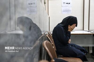  جاسوس زن شبکه‌های معاند در دام پلیس فارس