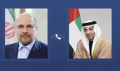  گفت وگوی معاون رئیس امارات با رئیس مجلس شورای اسلامی