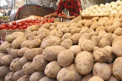  بازار سیب زمینی و پیاز معتدل است