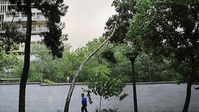  وزش باد شدید در تهران/ افزایش دما از جمعه